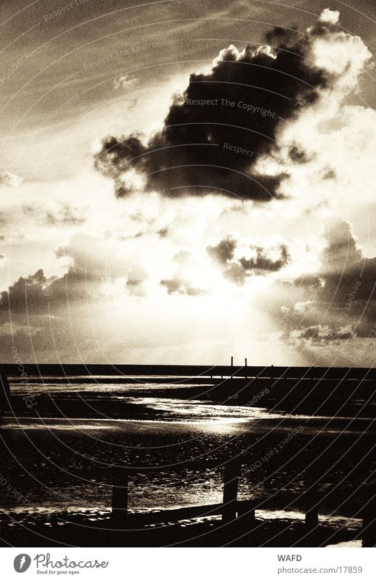 longing Ocean High tide Clouds Sunset St. Peter-Ording Sunbeam Autumn Beach Horizon Reflection Light Back-light North Sea Disturbed Black & white photo Sky