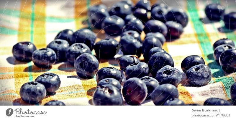 cultivated blueberry Colour photo Multicoloured Exterior shot Close-up Detail Macro (Extreme close-up) Structures and shapes Deserted Morning Day Light Shadow