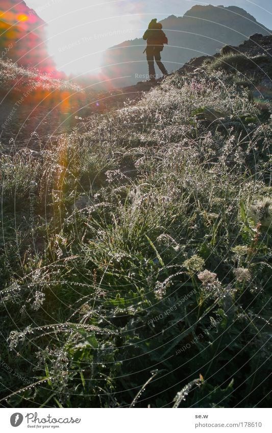 morning-hour Colour photo Exterior shot Morning Light Shadow Contrast Silhouette Light (Natural Phenomenon) Sunbeam Sunrise Sunset Back-light Wide angle