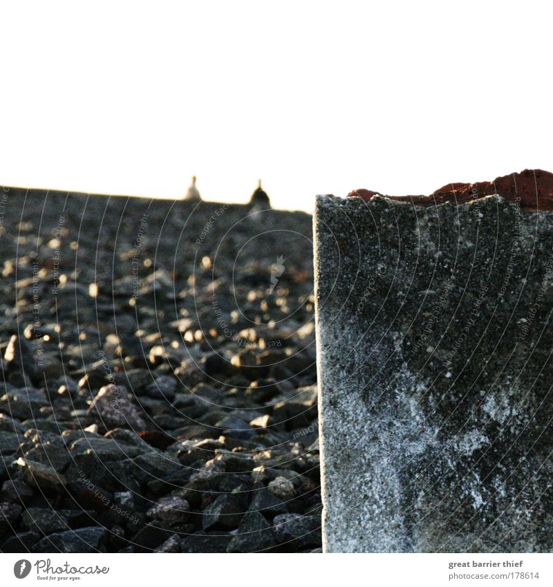 from stone to stone Colour photo Exterior shot Experimental Day Evening Light Contrast Human being Masculine 2 Stone Concrete Guilty Destruction Broken