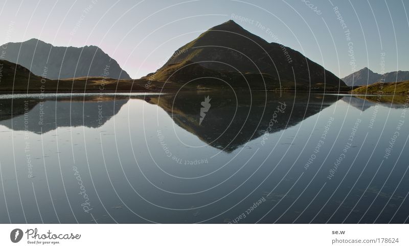 The Sea Bird Colour photo Exterior shot Deserted Copy Space bottom Evening Twilight Contrast Sunrise Sunset Mountain Cloudless sky Summer Alps Peak Lake Romance