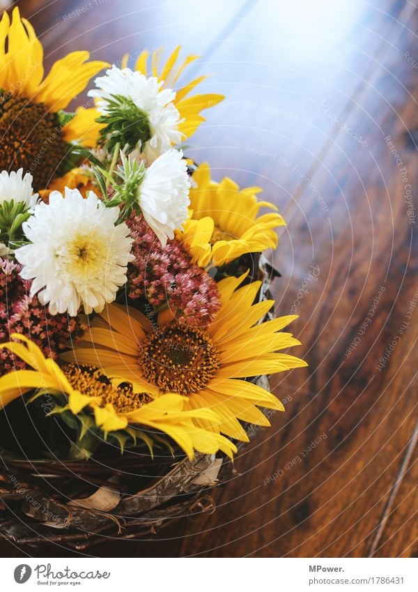 autumn decoration Autumn Autumn market Decoration Sunflower Flower Table Gift Yellow Multicoloured Bouquet Beautiful Fragrance