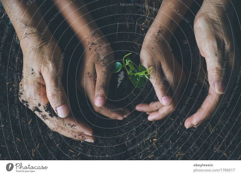 save the world, selective focus Lifestyle Style Save Garden Child Human being Boy (child) Grandmother Body Arm 2 8 - 13 years Infancy 45 - 60 years Adults