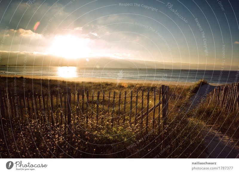 Sunset at the beach in Brittany Beach Ocean Nature Landscape Sunrise Sunlight Grass Atlantic Ocean Fence Infinity Natural Blue Yellow Moody