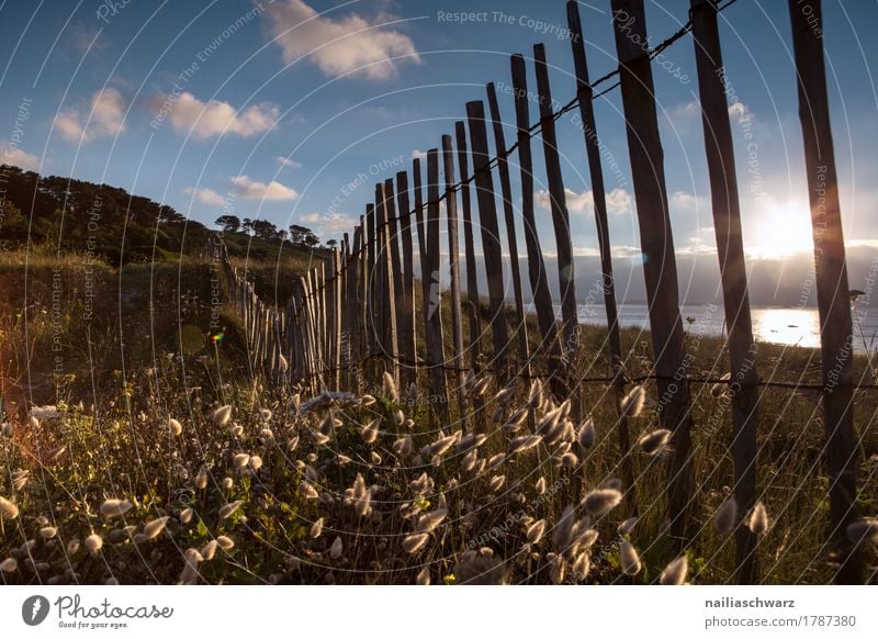 Sunset at the beach in Brittany Beach Ocean Environment Nature Landscape Sky Summer Plant Grass Bushes Wild plant Coast Infinity Natural Moody Romance Peaceful