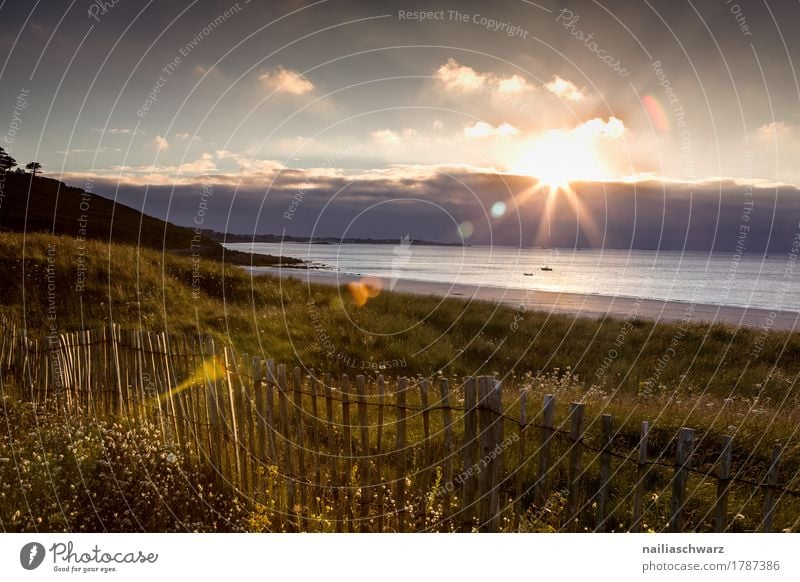 Sunset at the beach in Brittany Beach Ocean Environment Nature Landscape Plant Beautiful weather Coast Lakeside Fishing village Infinity Natural Moody Romance