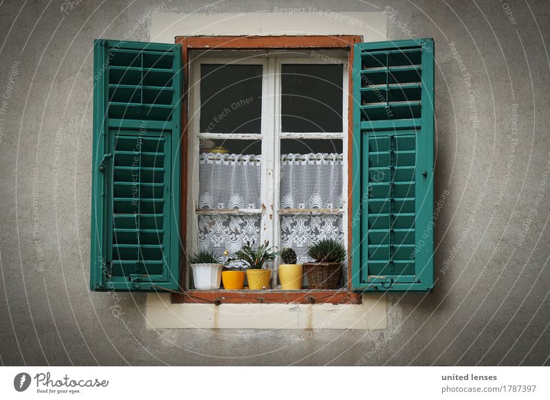 LO# Window green Art Work of art Esthetic Car Window Window pane Shutter Window board View from a window Window transom and mullion Window frame Open Tradition