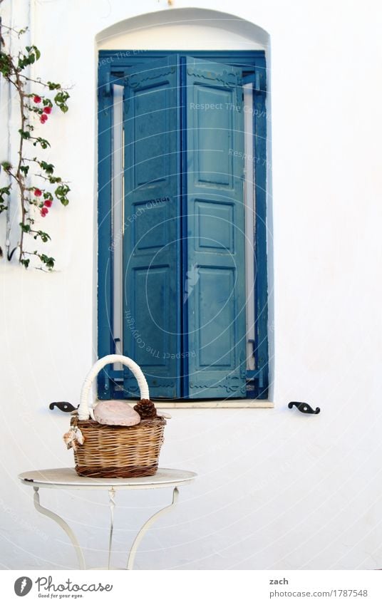 closed Table Plant Island siphnos Sifnos Cyclades Greece Village Small Town Old town House (Residential Structure) Wall (barrier) Wall (building) Facade Terrace