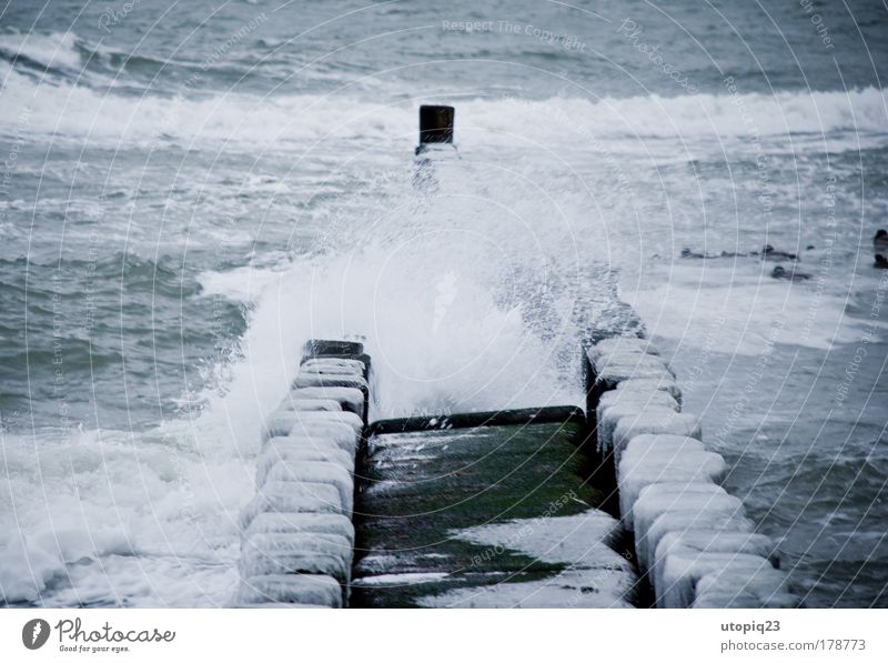 Cold sea Environment Water Winter Storm Wind Ice Frost Waves Coast Beach Baltic Sea Ocean Movement Loneliness chill Climate Force Wooden stake White crest