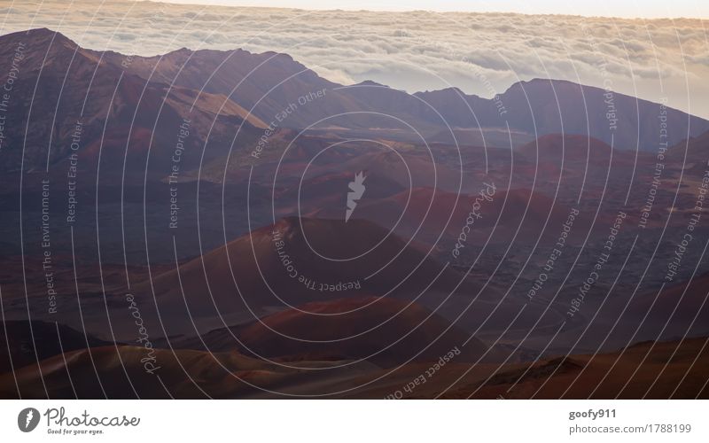 Volcanic landscape on the Haleakala (Maui/Hawaii) Environment Nature Landscape Earth Sand Air Clouds Horizon Sunrise Sunset Weather Beautiful weather Warmth