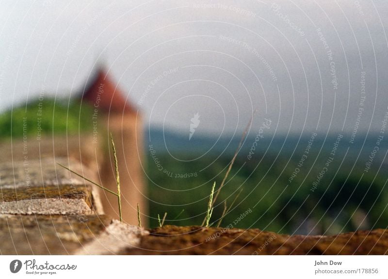 On the wall, on the lurk Trip Landscape Beautiful weather Grass Bushes Blade of grass Grass blossom Castle Tower Wall (barrier) Wall (building) Roof