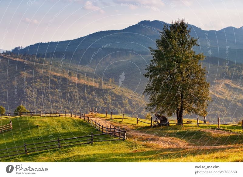 September rural scene in Carpathian mountains. Summer Mountain Environment Nature Landscape Earth Autumn Tree Grass Meadow Forest Hill Village Street Authentic