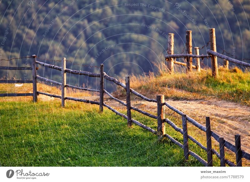 September rural scene in Carpathian mountains Beautiful Summer Mountain Environment Nature Landscape Earth Sunrise Sunset Autumn Tree Grass Meadow Forest Hill