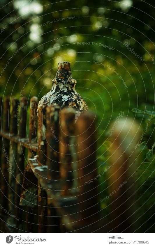 bluesboned Fence iron fence Rust Garden fence Metalware Old Dark Nostalgia Decline Transience Green Brown Wrought iron Wrought ironwork Colour photo