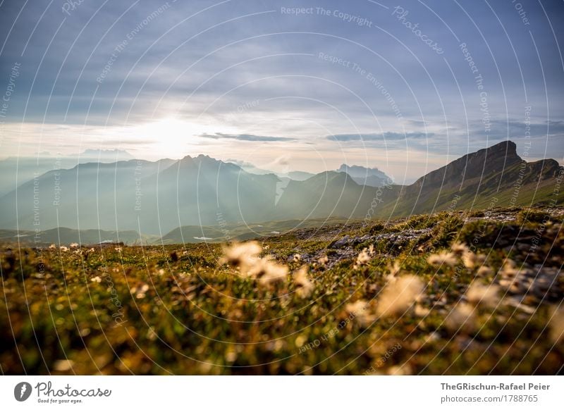 mood Environment Nature Landscape Blue Brown Gray Green Mountain Switzerland Alps Vantage point Panorama (View) Grass Plant Earth Stone Peak Sun Sunbeam Sunset