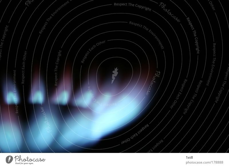 cooking with gas! Colour photo Interior shot Close-up Experimental Deserted Copy Space right Copy Space top Copy Space bottom Copy Space middle