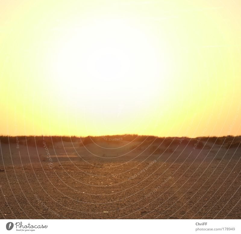 It burns... Vacation & Travel Landscape Sand Cloudless sky Beautiful weather Warmth Drought Grass Bushes Marram grass Hill Beach North Sea Island Amrum