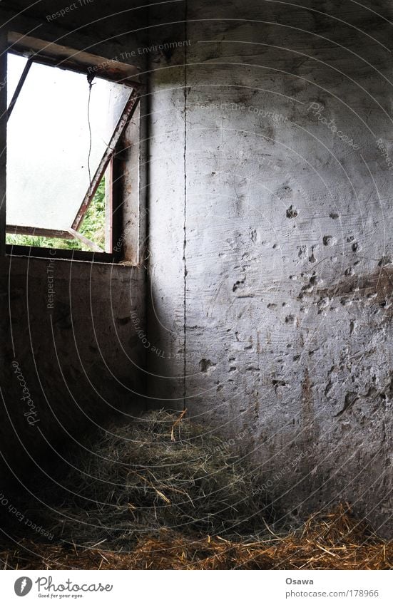 stable Barn Stable Wall (building) Window Straw Bedding Structures and shapes Building Room Portrait format Empty