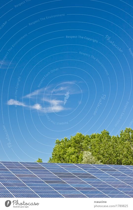 Photovoltaic panels in a solar power plant over a blue sky. Industry Solar Power Environment Sky Clouds Climate Natural Clean Blue Green Energy Alternative