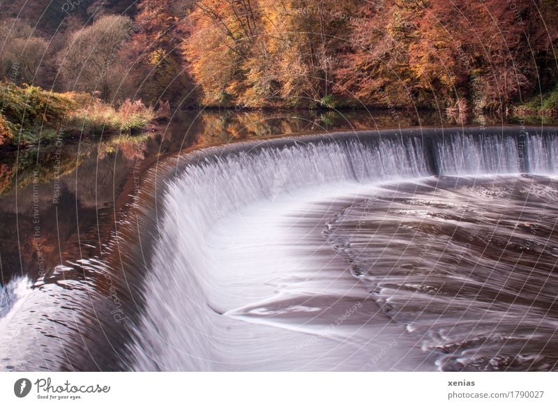 Artificial waterfall of the river Wupper near Unterburg Solingen River Landscape Water Autumn Waterfall Mountainous area Fish Relaxation Hiking Brown Yellow