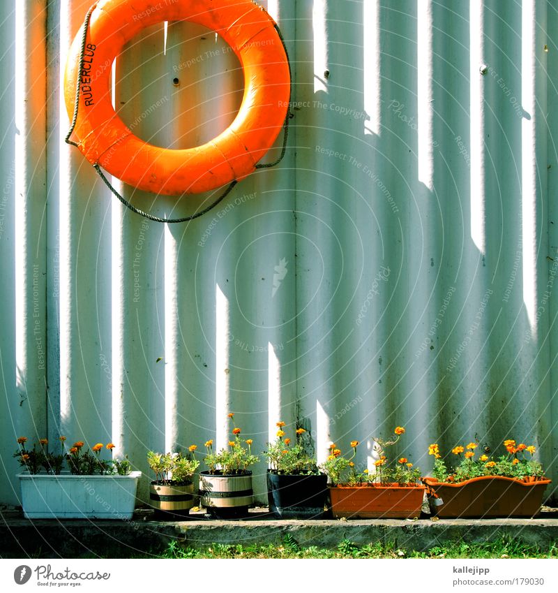 one kayak Colour photo Multicoloured Exterior shot Deserted Day Light Shadow Contrast Long shot Lifestyle Leisure and hobbies Playing Sporting Complex Plant