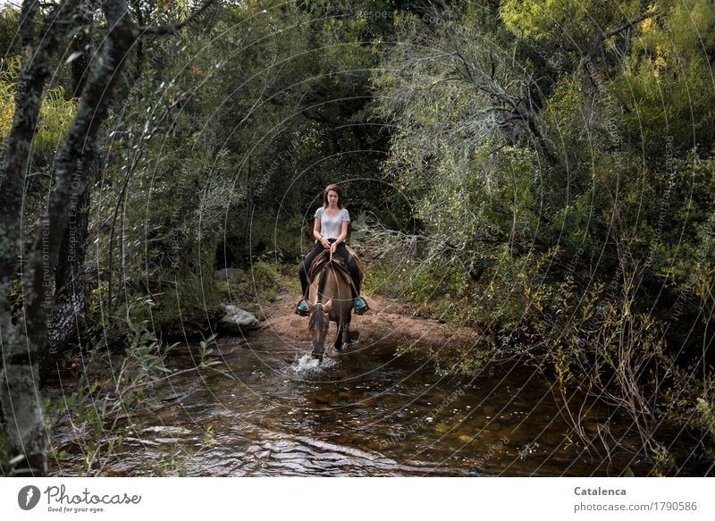 Ride through the tunnel in the jungle Feminine Young woman Youth (Young adults) 1 Human being 18 - 30 years Adults Nature Plant Animal Summer Tree Bushes Moss