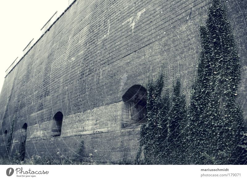 You're not coming in here. Black & white photo Subdued colour Exterior shot Abstract Structures and shapes Deserted Dawn Contrast Wide angle Hunting Ivy Rock