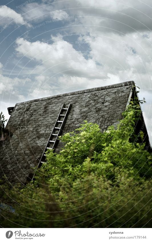 ladder to heaven Colour photo Exterior shot Close-up Detail Deserted Copy Space top Copy Space bottom Day Shadow Contrast Shallow depth of field