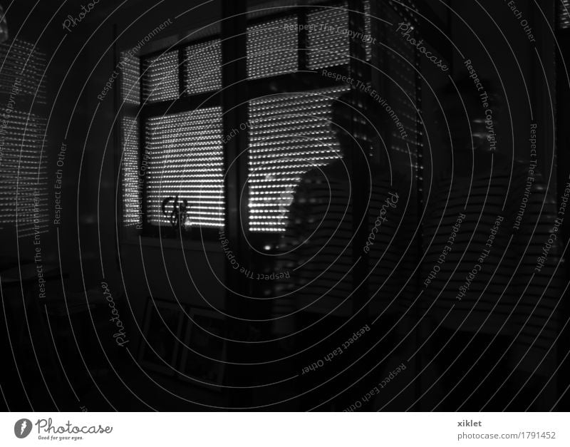 Inside Hunting Blind Woman Wall (building) House (Residential Structure) Room Safety (feeling of) Light Reflection Shadow Light streak marks Dark Warmth Body