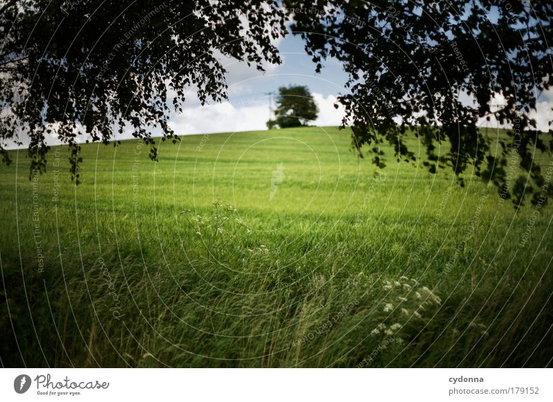 Landscape I Colour photo Exterior shot Detail Deserted Copy Space bottom Copy Space middle Day Light Shadow Contrast Deep depth of field Central perspective