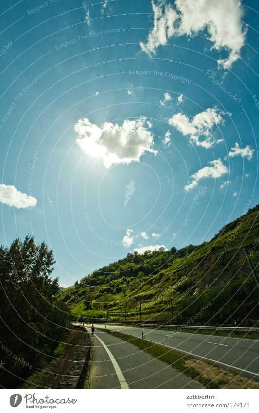 Father Rhine Street Road traffic Logistics Passenger traffic open track sour cream Mountain Hill Sky Blue sky Sky blue Clouds Back-light rhineland Summer Sun