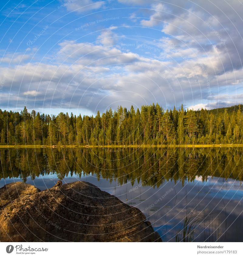 60° North Evening Sun Colour photo Exterior shot Deserted Copy Space top Light Shadow Silhouette Reflection Sunlight Vacation & Travel Freedom Summer Island