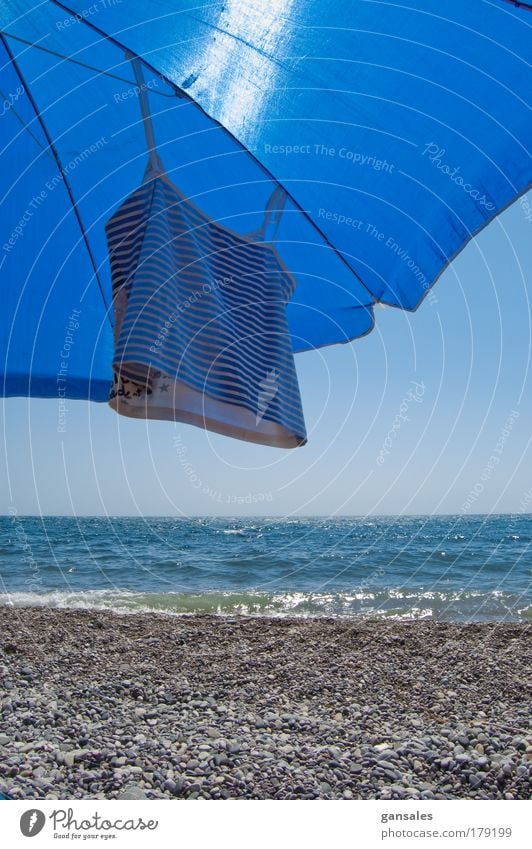 sunshade on the beach Colour photo Exterior shot Detail Deserted Day Light Contrast Sunlight Sunbeam Deep depth of field Central perspective Front view Joy