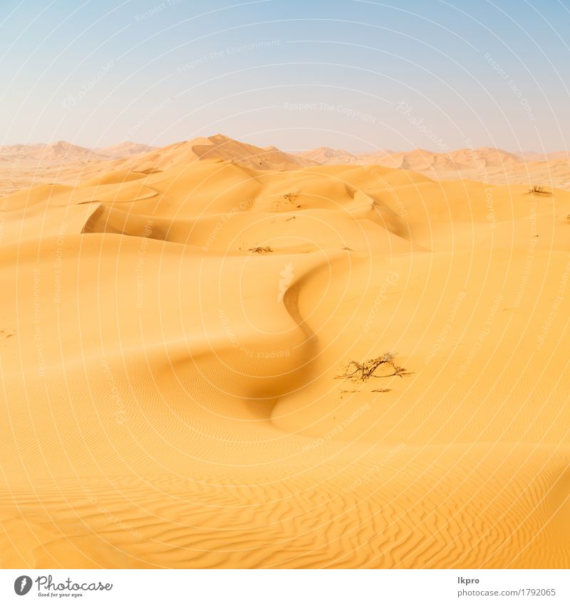 the empty quarter and outdoor Beautiful Vacation & Travel Tourism Adventure Safari Summer Sun Nature Landscape Sand Sky Horizon Park Hill Hot Wild Yellow Gold