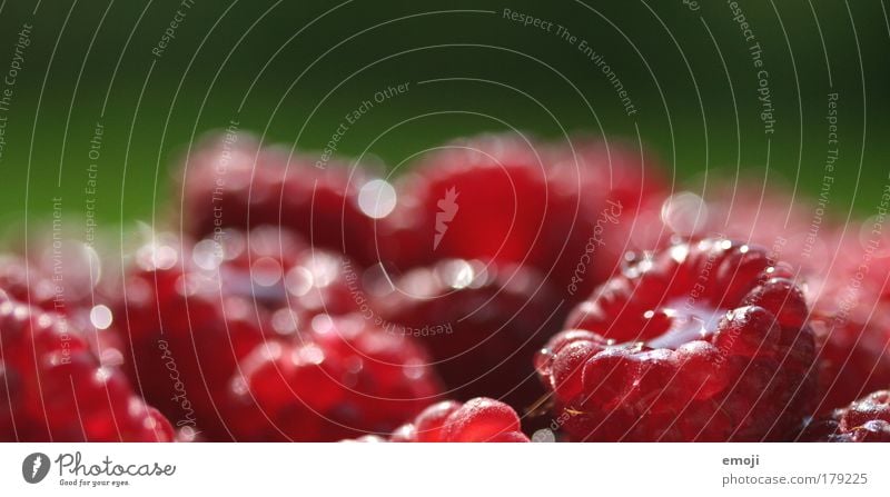 aggregation Colour photo Exterior shot Close-up Detail Macro (Extreme close-up) Copy Space top Shallow depth of field Fruit Nutrition Organic produce