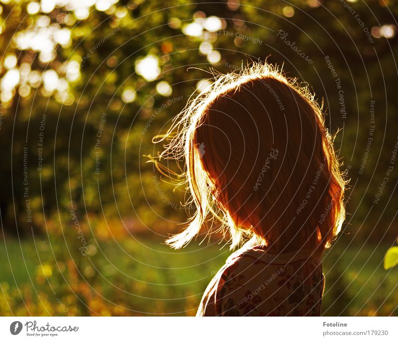 leonie Colour photo Exterior shot Day Evening Shadow Silhouette Child Girl Head Hair and hairstyles Environment Nature Landscape Plant Beautiful weather Tree