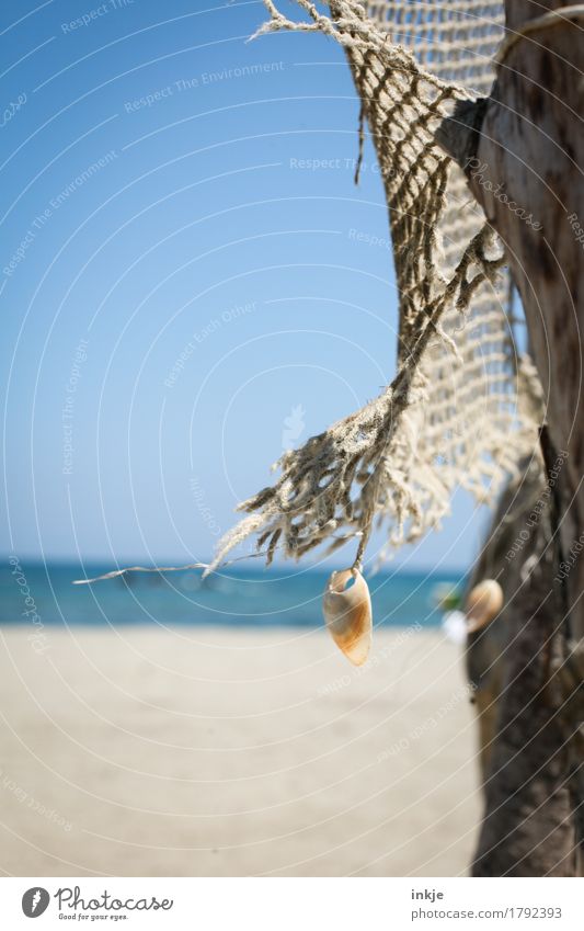 light breeze Cloudless sky Summer Beautiful weather Wind Beach Fishing net Mussel Hang Fresh Bright Uniqueness Maritime Blue Leisure and hobbies Creativity