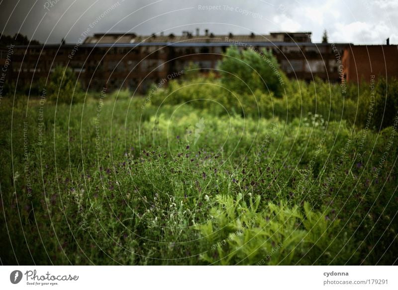 old industry Colour photo Exterior shot Deserted Copy Space bottom Copy Space middle Day Light Shadow Contrast Deep depth of field Central perspective