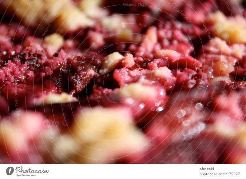 Plum pie? Colour photo Interior shot Day Light (Natural Phenomenon) Sunlight Blur Shallow depth of field Food Fruit Dough Baked goods Cake plum cake Nutrition