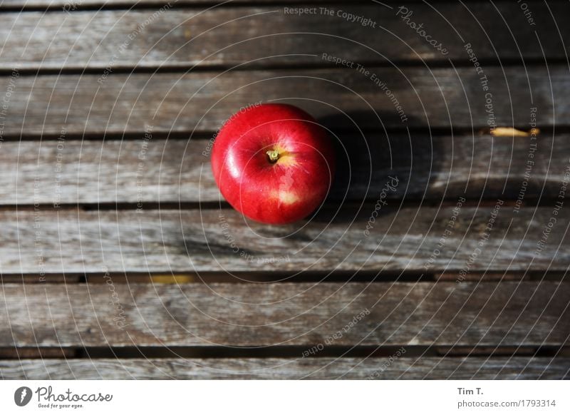 autumn apple Food Fruit Apple Nutrition Organic produce Nature Autumn Garden Environment Red Table Colour photo Exterior shot Deserted Copy Space left