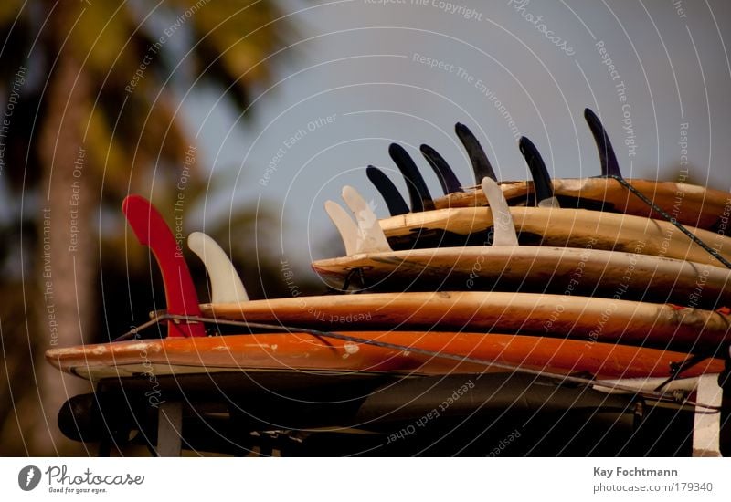 California Surfboard Multicoloured Yellow Palm tree Colour photo Detail Deserted Copy Space top Day Light Shallow depth of field Stack Many Consecutively