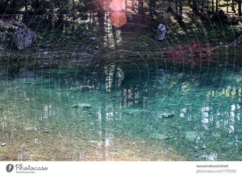 Green lake, ice cold! Colour photo Exterior shot Reflection Sunbeam Nature Water Beautiful weather Tree Mountain Lake Green Lake Esthetic Wet Blue Morning Rock