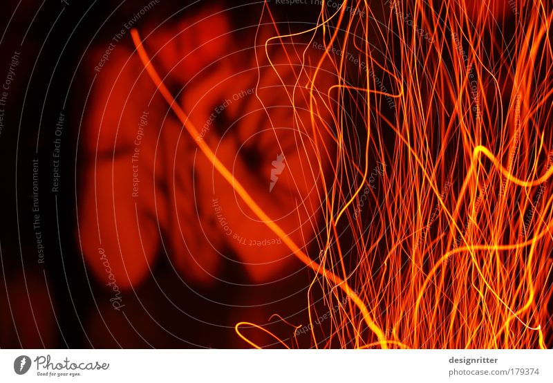 observer Colour photo Exterior shot Copy Space left Night Shallow depth of field Man Adults Dark Hot Warmth Moody Contentment Trust Safety Protection