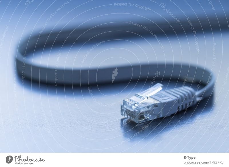 LAN connector Computer Hardware Technology Internet Help cable communications Connection data Digital dynamic Equipment functional Industrial Photography