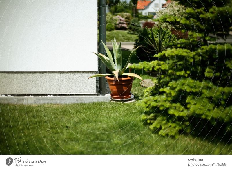 small Texas Colour photo Exterior shot Close-up Detail Deserted Copy Space left Copy Space bottom Day Light Shadow Contrast Sunlight Shallow depth of field