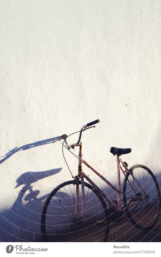 On the road in Argentina Bicycle Shadow street voyager evening mood