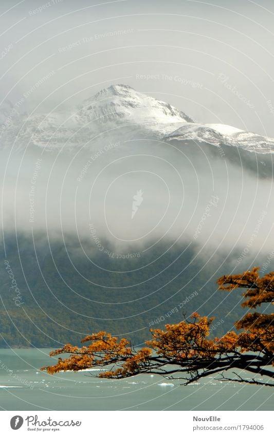 On the road in Patagonia Perito Moreno Glacier Argentina travel Mountain Autumn Fog