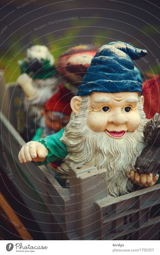 dwarf power Leisure and hobbies Decoration Kitsch Odds and ends Garden gnome Smiling Looking Authentic Exceptional Friendliness Together Funny Positive