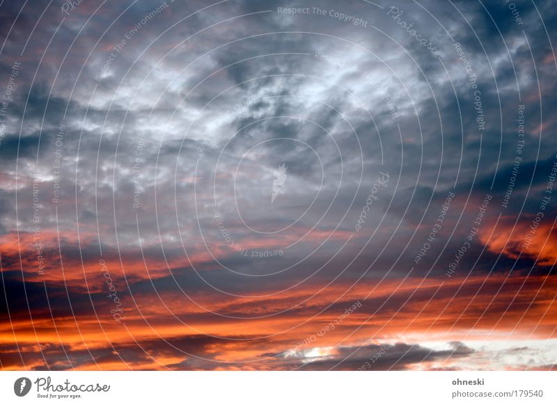 bake cookies Colour photo Exterior shot Twilight Contrast Sunrise Sunset Environment Nature Air Sky Clouds Storm clouds Autumn Climate Weather Beautiful weather