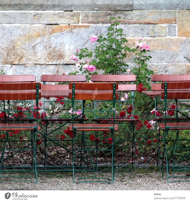 In a small group Chair Table Rose Wall (barrier) Sandstone Gravel Relaxation Break Café Side by side Accessible Deserted Encounter Day